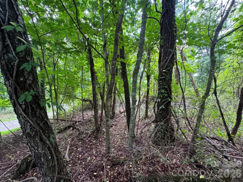 TBD Wind Ridge Road Sparta, NC 28675