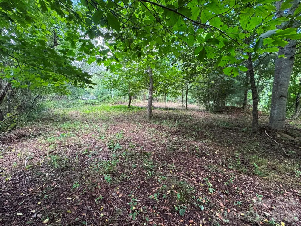TBD Wind Ridge Road Sparta, NC 28675