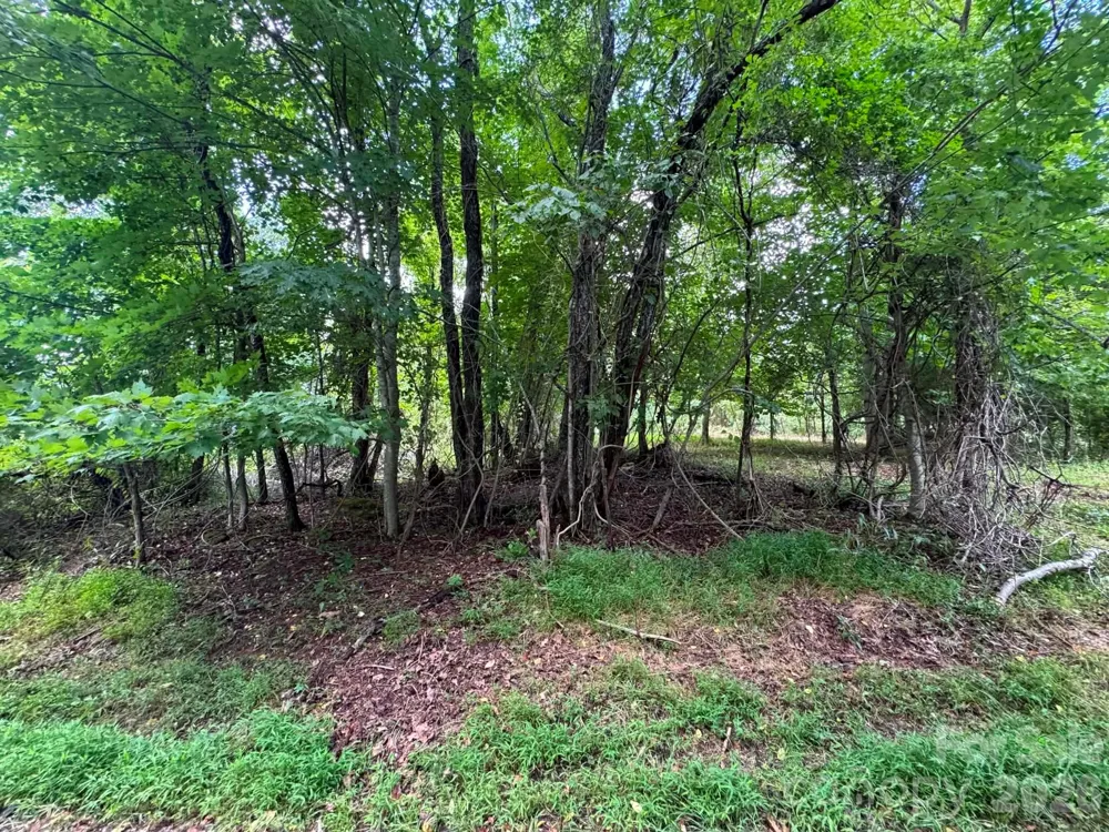 TBD Wind Ridge Road Sparta, NC 28675