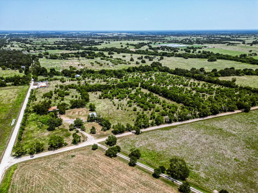 12224 Jinkins Road North Zulch, TX 77872