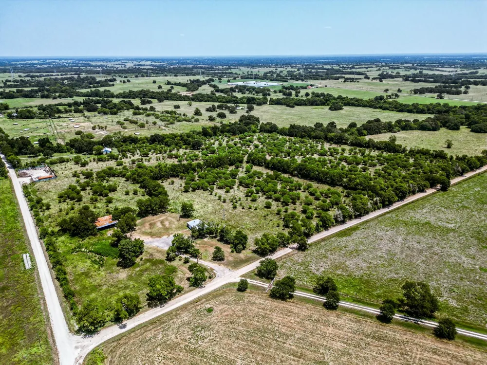 12224 Jinkins Road North Zulch, TX 77872