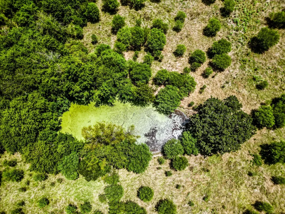 12224 Jinkins Road North Zulch, TX 77872