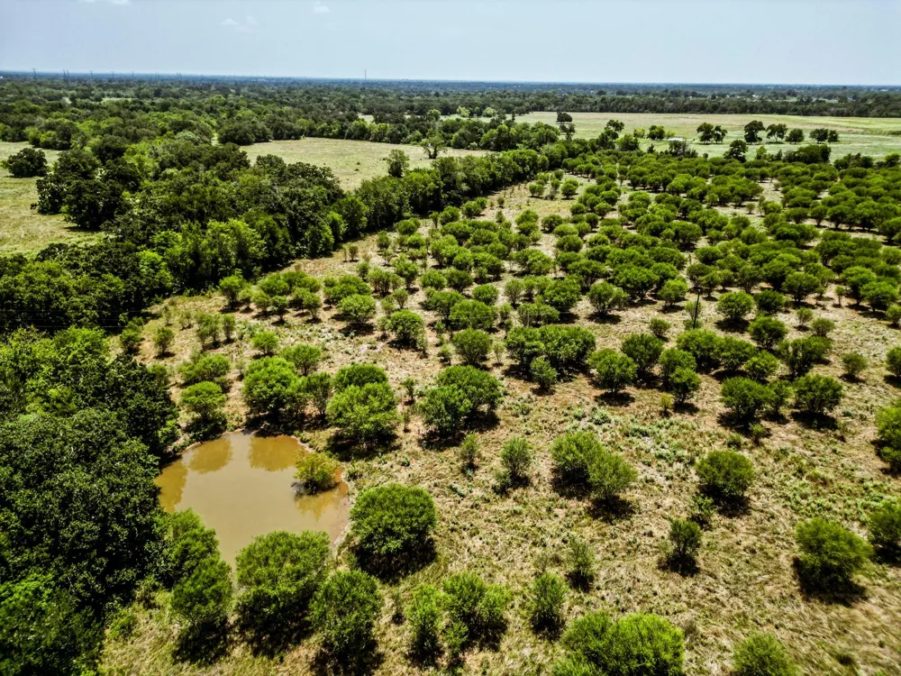 12224 Jinkins Road North Zulch, TX 77872