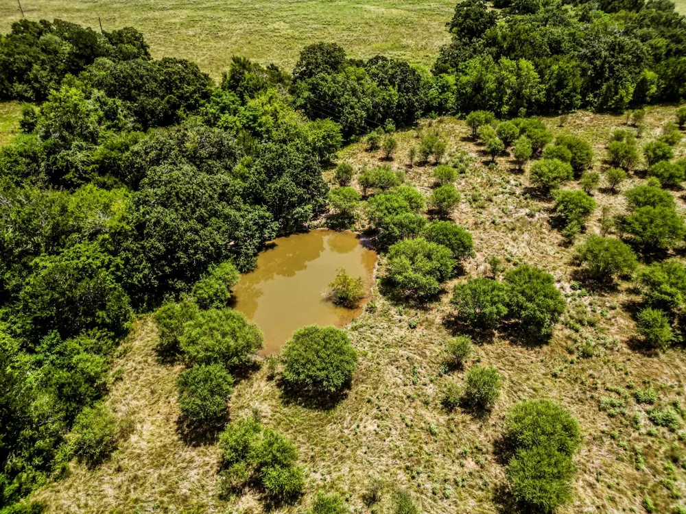 12224 Jinkins Road North Zulch, TX 77872