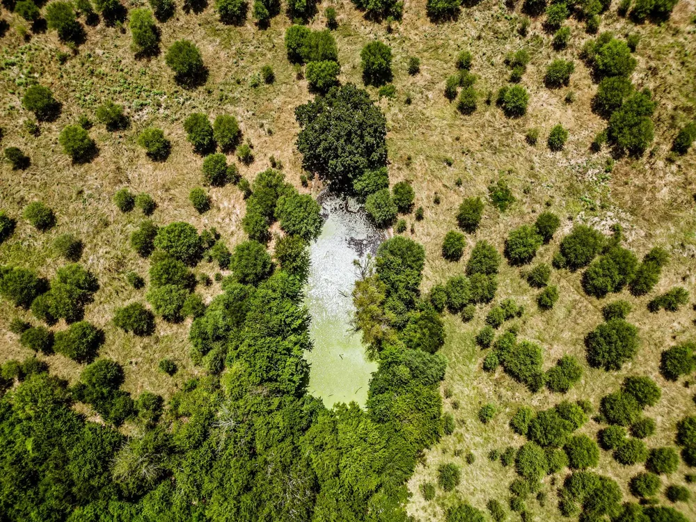 12224 Jinkins Road North Zulch, TX 77872