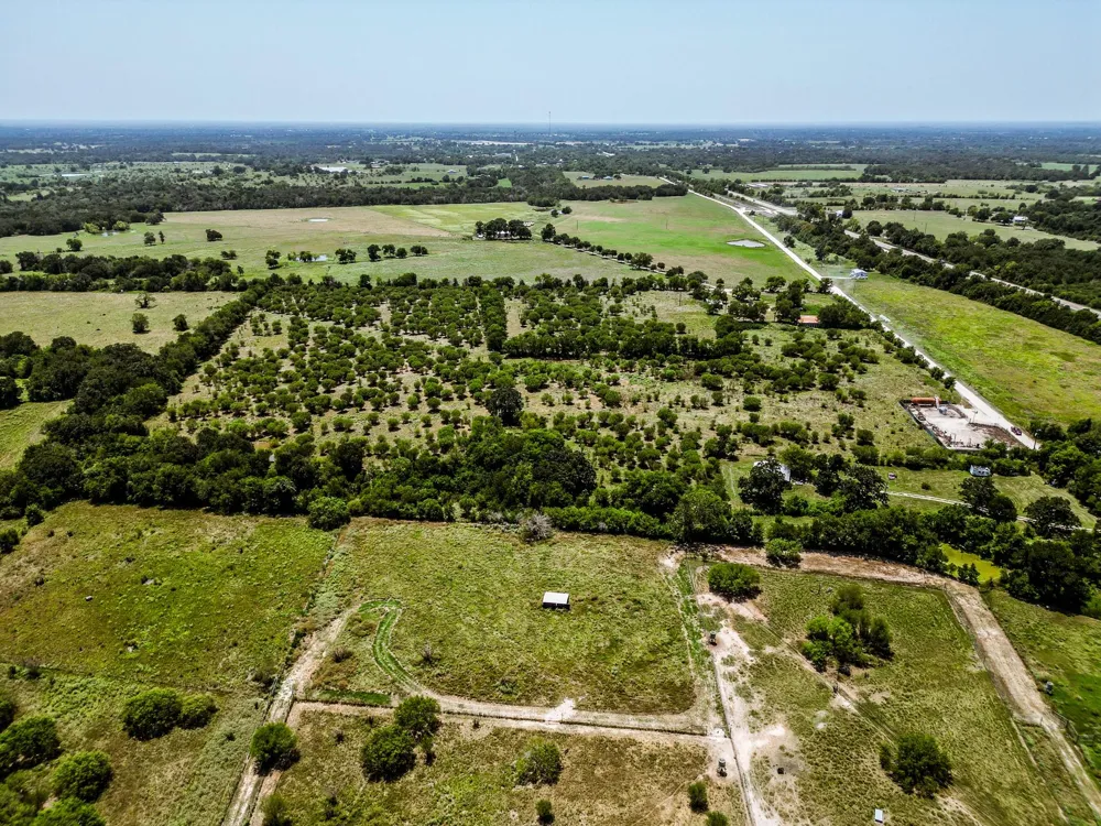 12224 Jinkins Road North Zulch, TX 77872