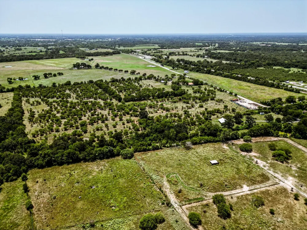 12224 Jinkins Road North Zulch, TX 77872