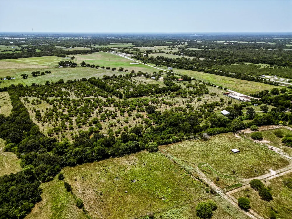 12224 Jinkins Road North Zulch, TX 77872