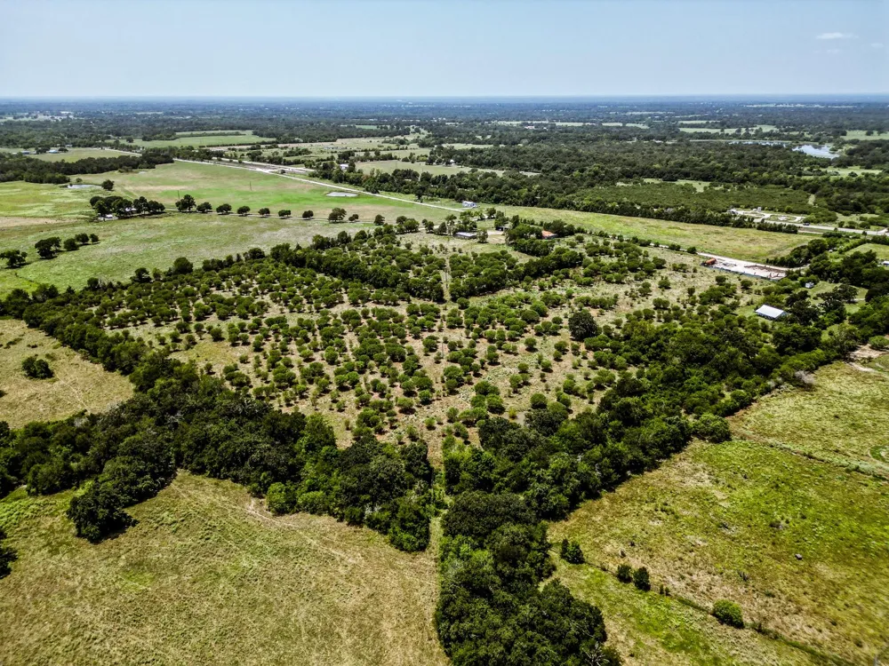 12224 Jinkins Road North Zulch, TX 77872
