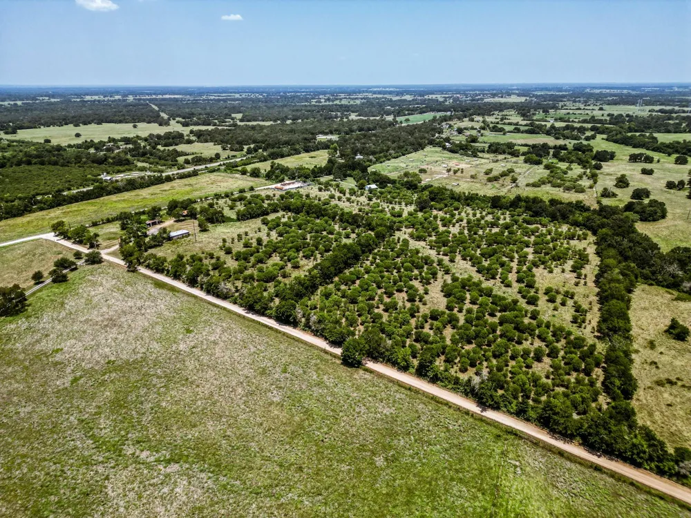 12224 Jinkins Road North Zulch, TX 77872