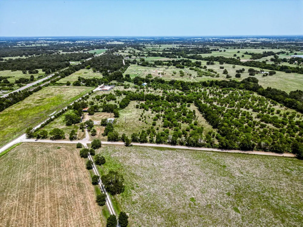12224 Jinkins Road North Zulch, TX 77872