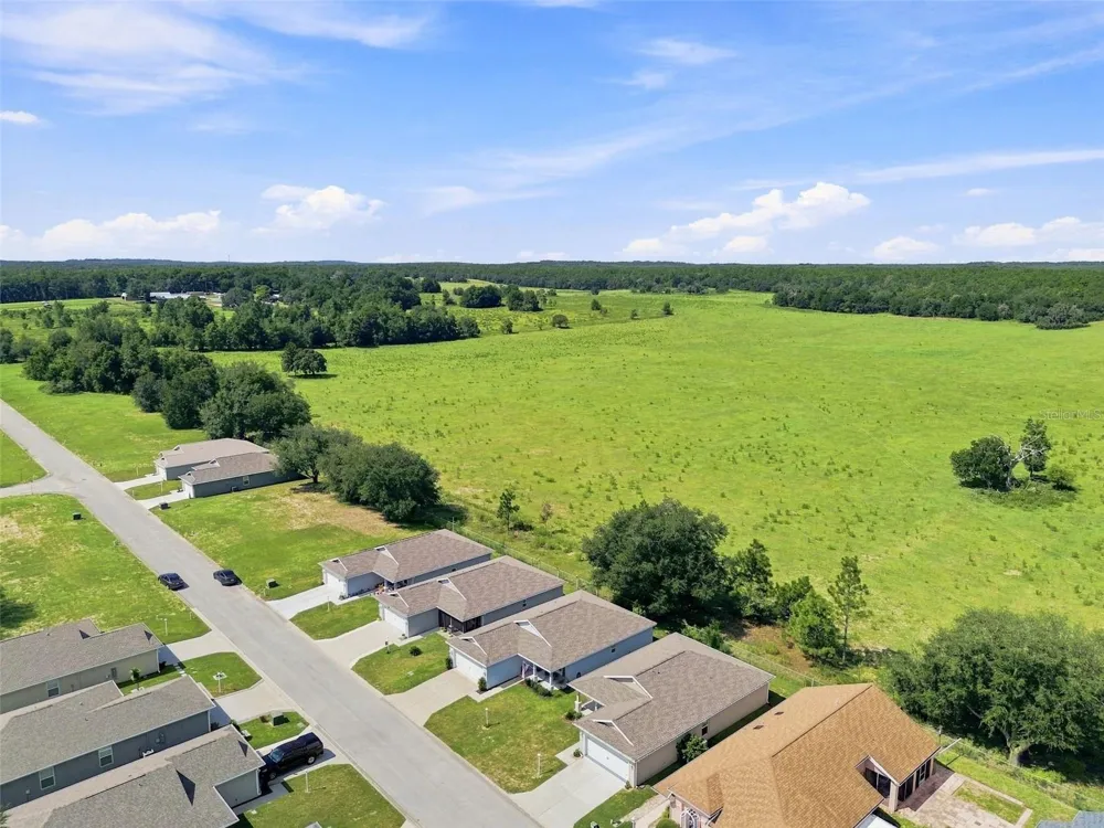 10535 S DREW BRYANT CIRCLE Floral City, FL 34436