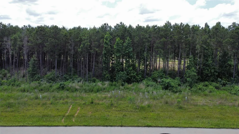 8024 Road 5895 Cleveland, TX 77327
