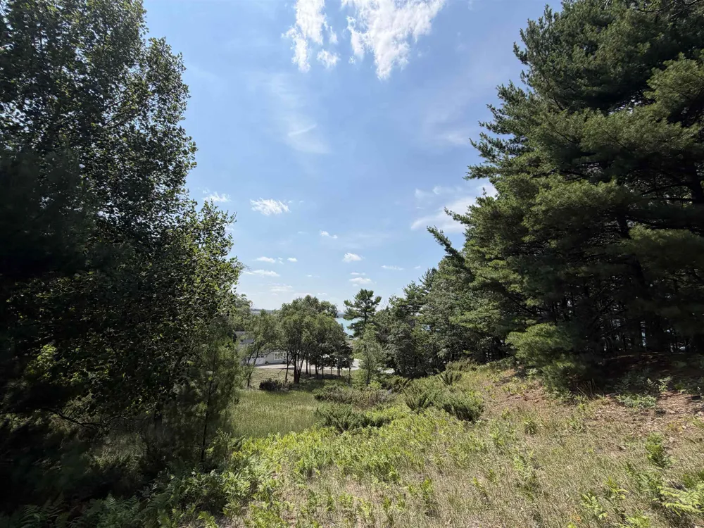 Weathering Heights Road Acme Township, MI 49686