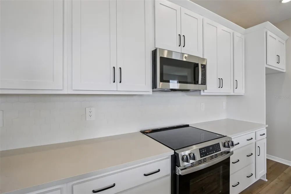 5969 FRESH FLORA DRIVE Wimauma, FL 33598