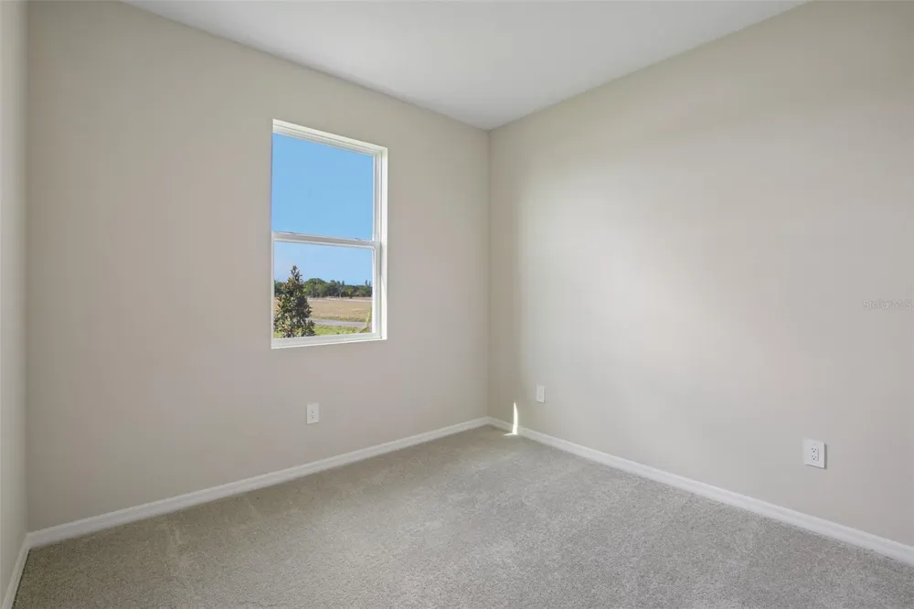 5969 FRESH FLORA DRIVE Wimauma, FL 33598