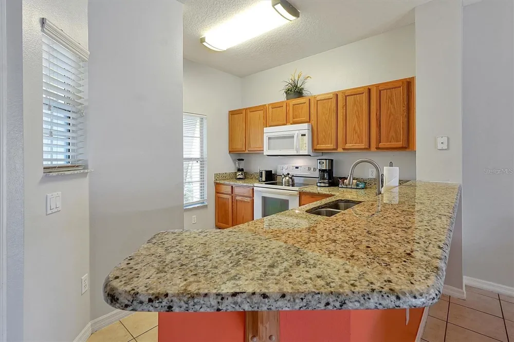 8591 BAY LILLY LOOP Kissimmee, FL 34747