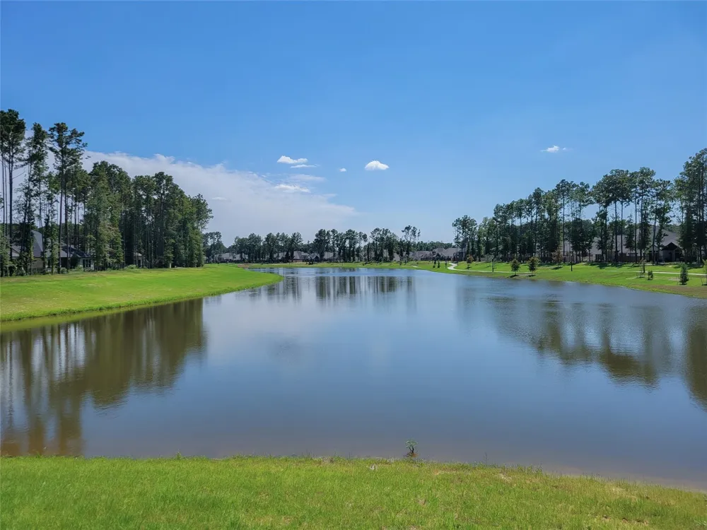22282 Junction Peak Porter, TX 77365