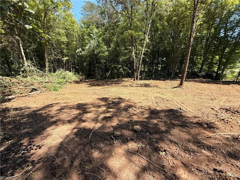 0 Wilson Street Lexington, NC 27292