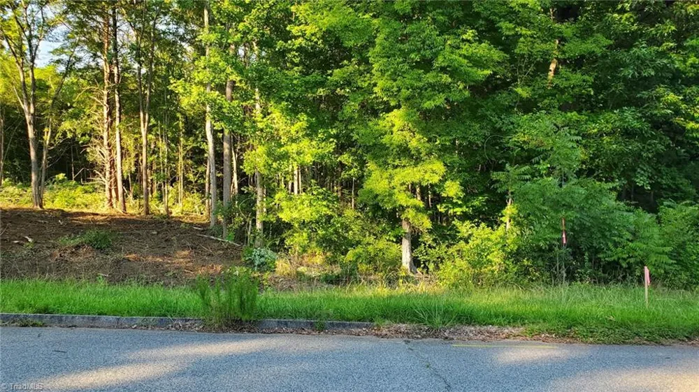 0 Wilson Street Lexington, NC 27292