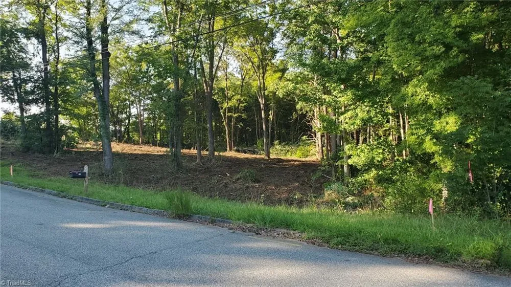 0 Wilson Street Lexington, NC 27292