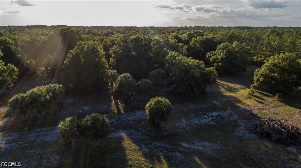 Packinghouse Road Alva, FL 33920