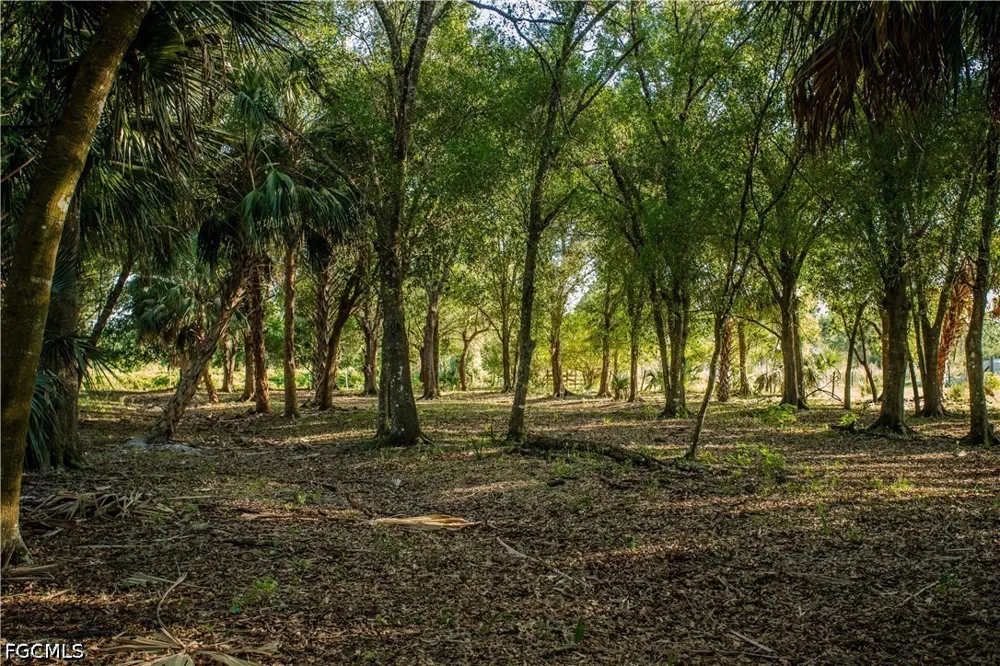 Packinghouse Road Alva, FL 33920