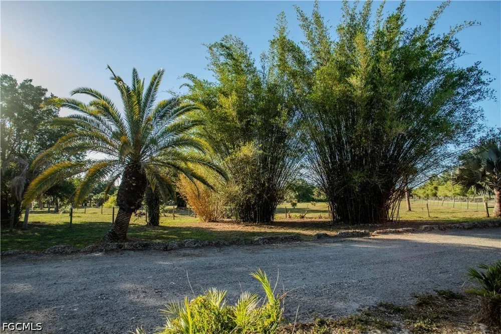 Packinghouse Road Alva, FL 33920