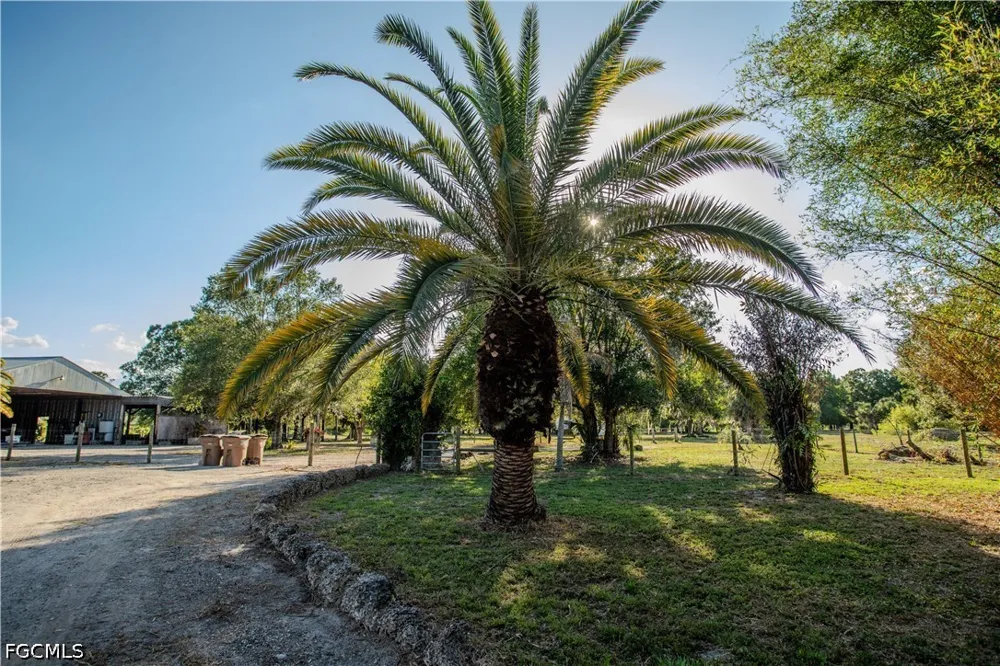 Packinghouse Road Alva, FL 33920