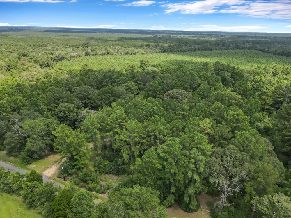 506 County Road 4580 S Spurger, TX 77660