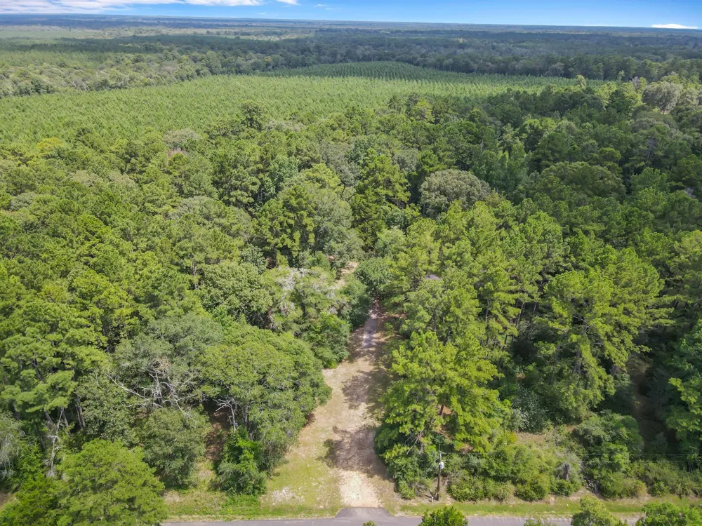 506 County Road 4580 S Spurger, TX 77660