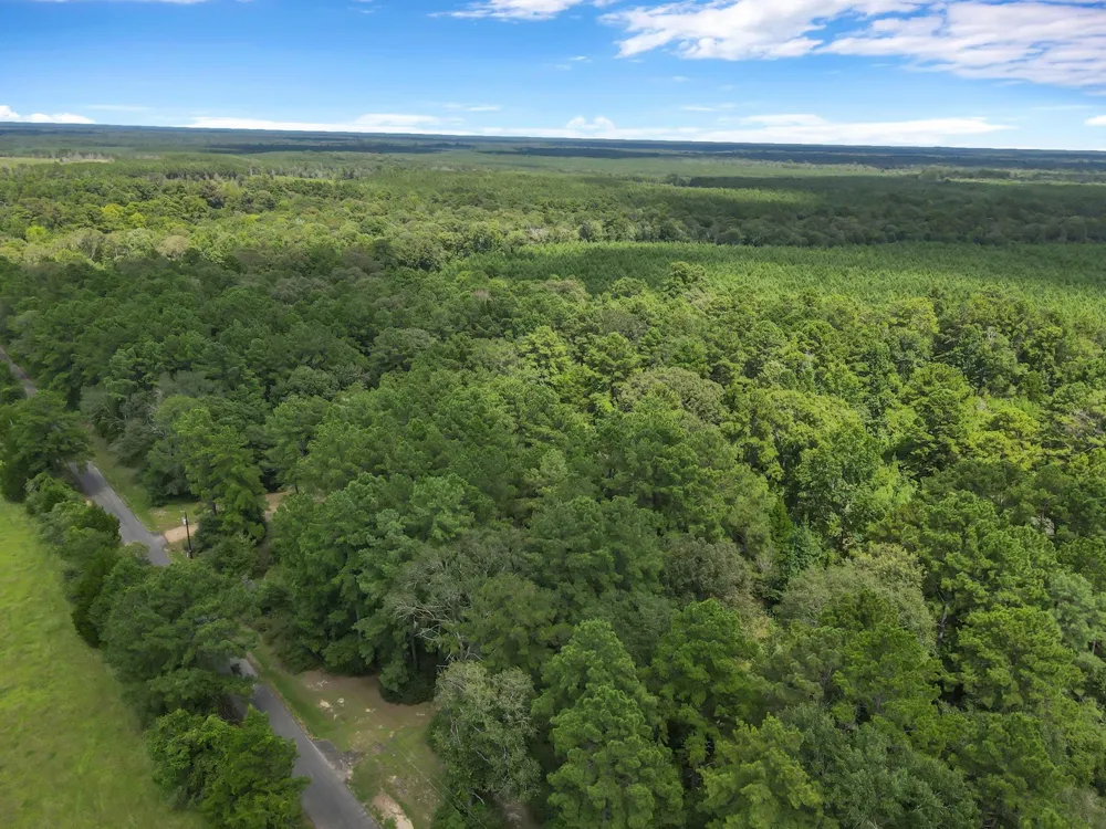 506 County Road 4580 S Spurger, TX 77660