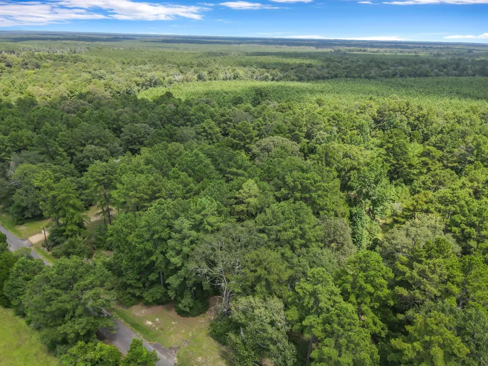506 County Road 4580 S Spurger, TX 77660