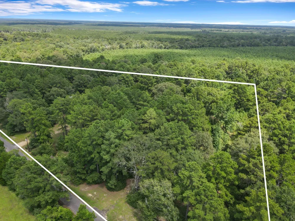 506 County Road 4580 S Spurger, TX 77660