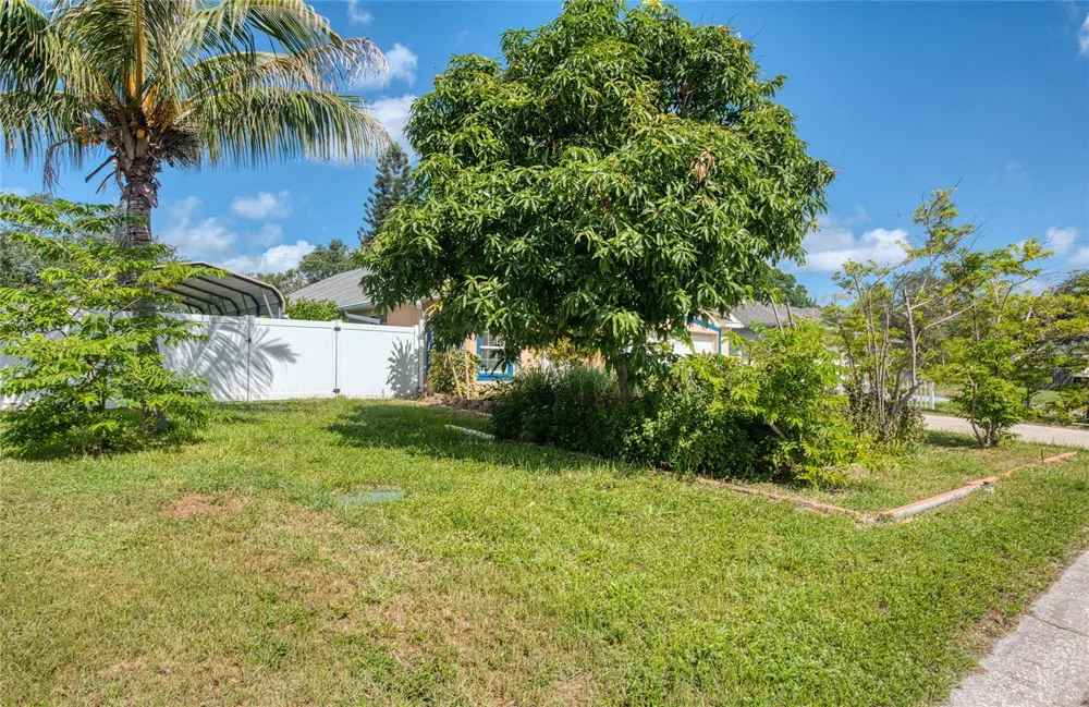 1150 OAKWOOD DRIVE Dunedin, FL 34698