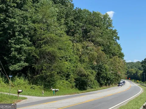 2AC U.S. Hwy 19N/GA Hwy 60N
