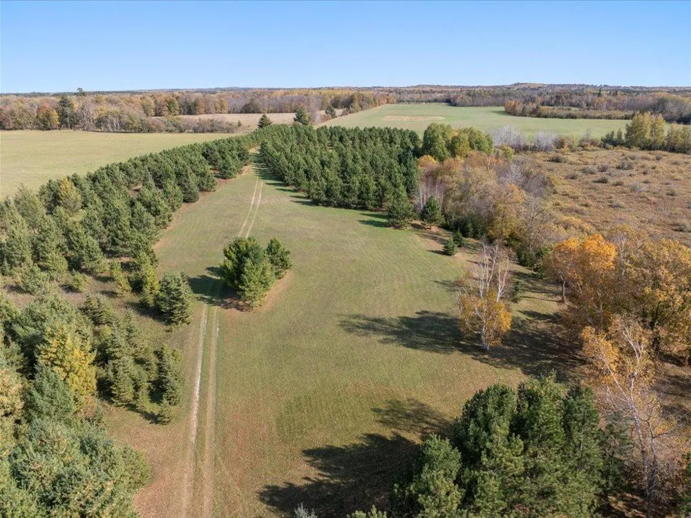 TBD State 64 Akeley, MN 56433