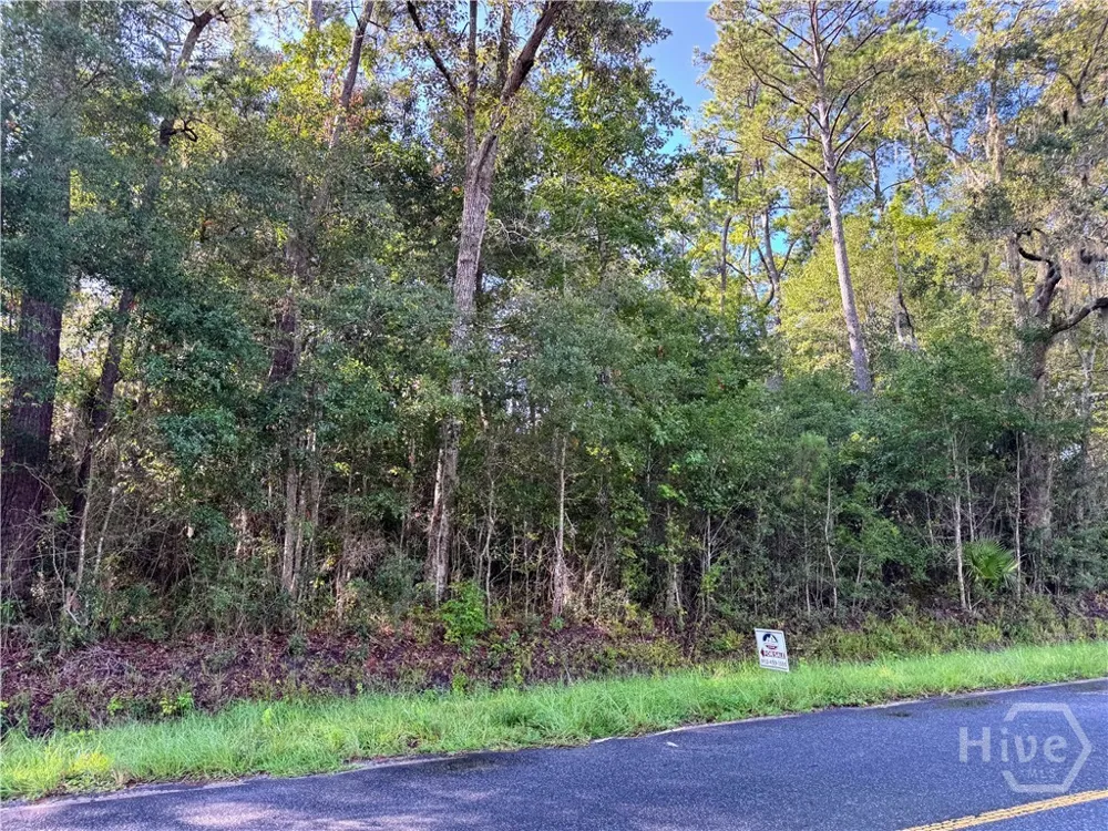 Cattle Hammock Road Midway, GA 31320