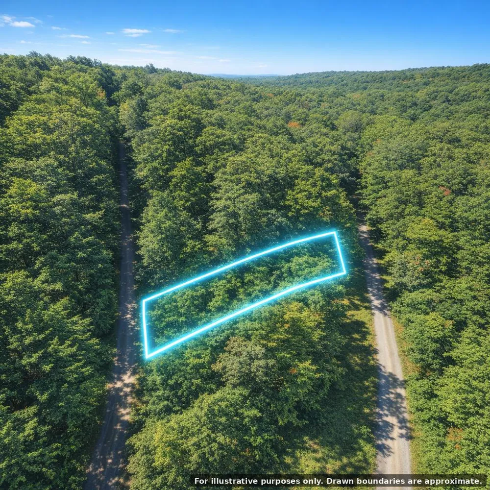 Bear Road Tallassee, TN 37878