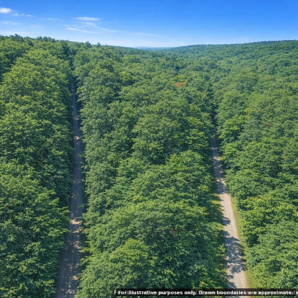 Bear Road Tallassee, TN 37878