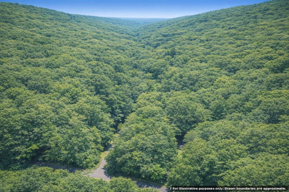 Bear Road Tallassee, TN 37878