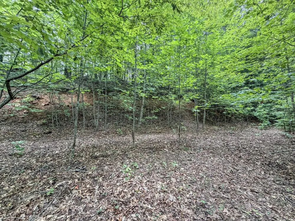 Black Forest dr Bryson City, NC 28713