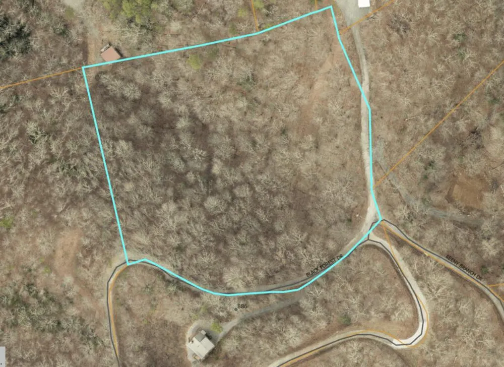 Black Forest dr Bryson City, NC 28713