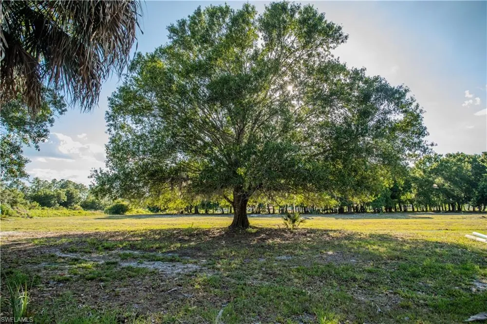 3880 Packinghouse Road Alva, FL 33920