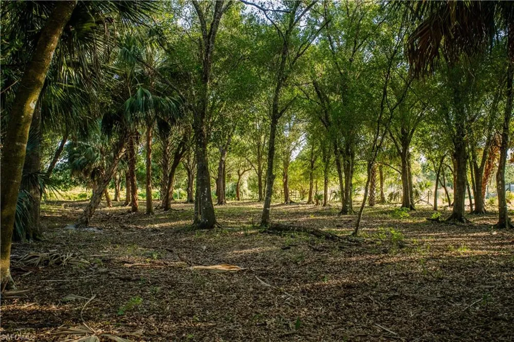 3880 Packinghouse Road Alva, FL 33920