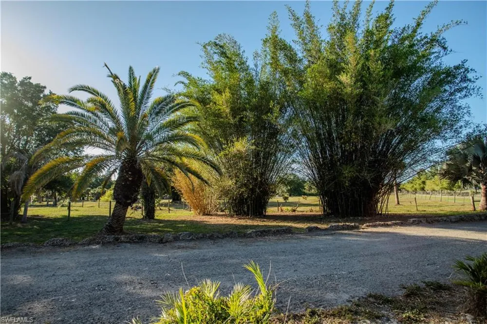 3880 Packinghouse Road Alva, FL 33920