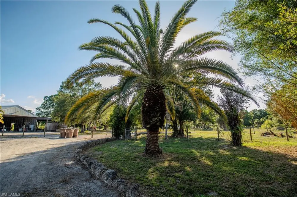 3880 Packinghouse Road Alva, FL 33920