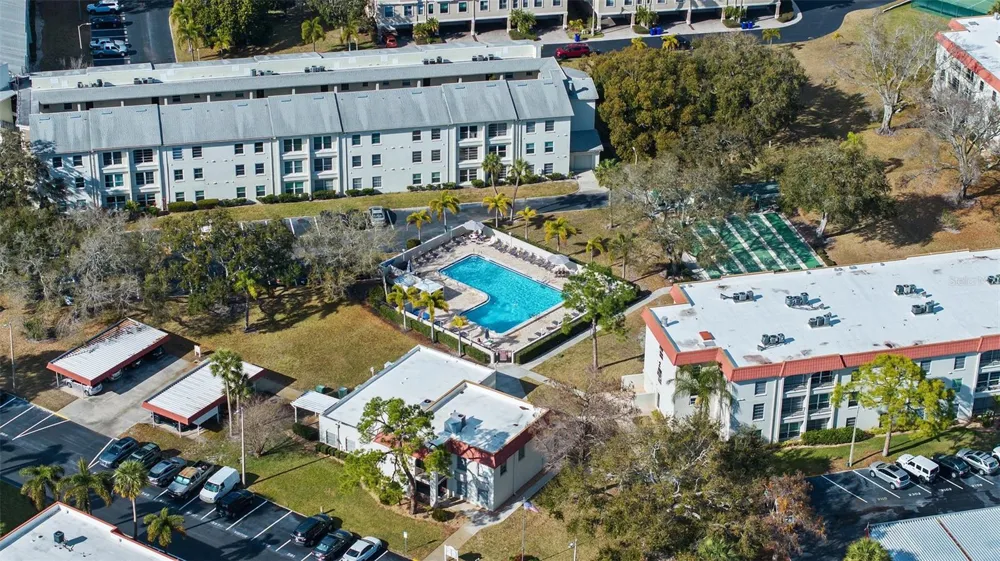 2700 BAYSHORE BOULEVARD #4106 Dunedin, FL 34698