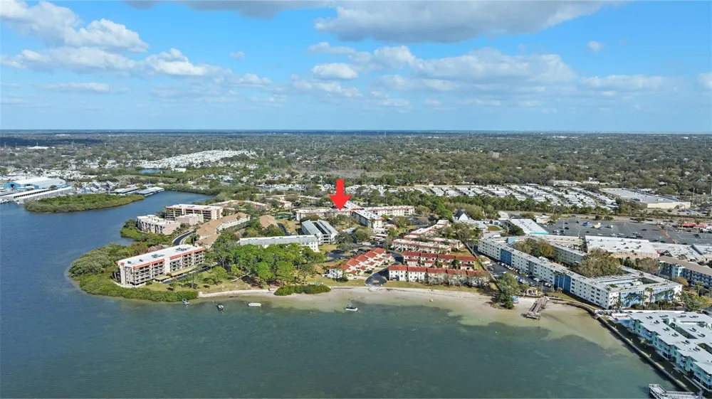 2700 BAYSHORE BOULEVARD #4106 Dunedin, FL 34698