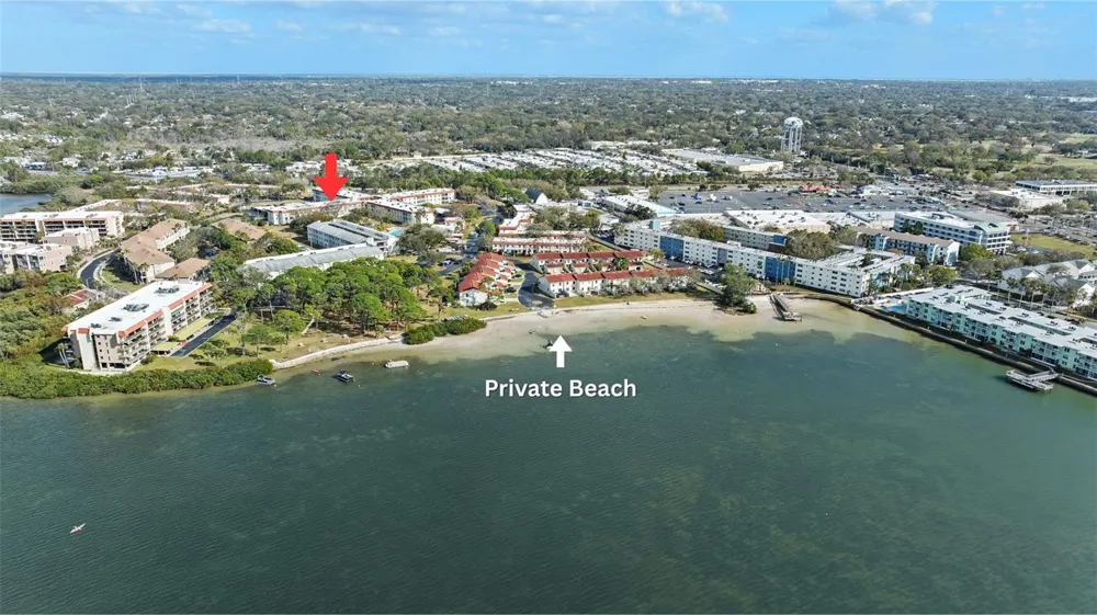 2700 BAYSHORE BOULEVARD #4106 Dunedin, FL 34698